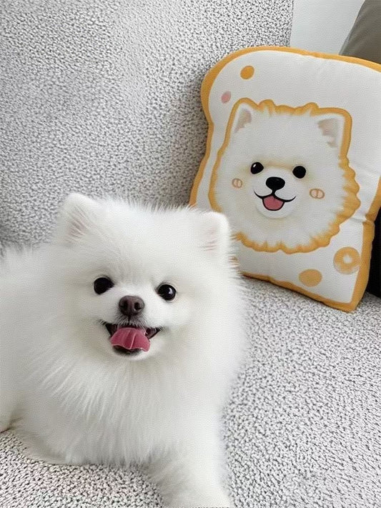 Custom Pet Pillow – Personalized Photo Pillow Keepsake for Beloved pet