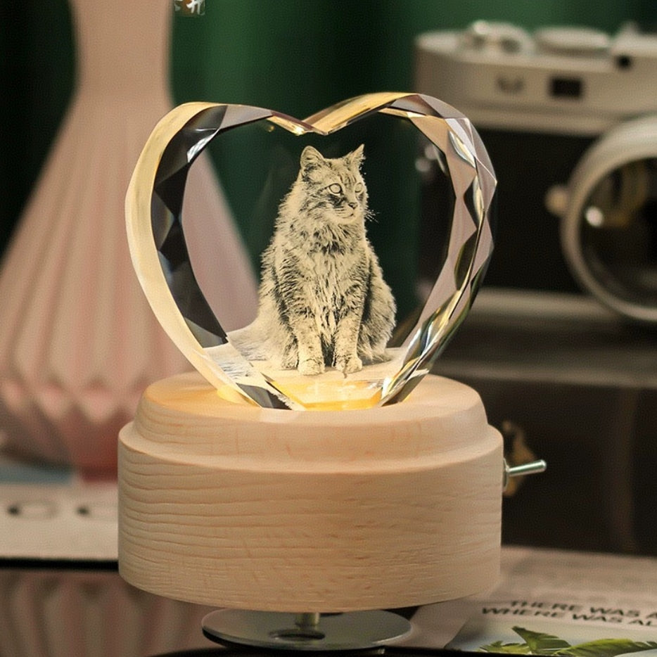 Custom Pet Crystal Ball – Personalized 3D Engraved Keepsake