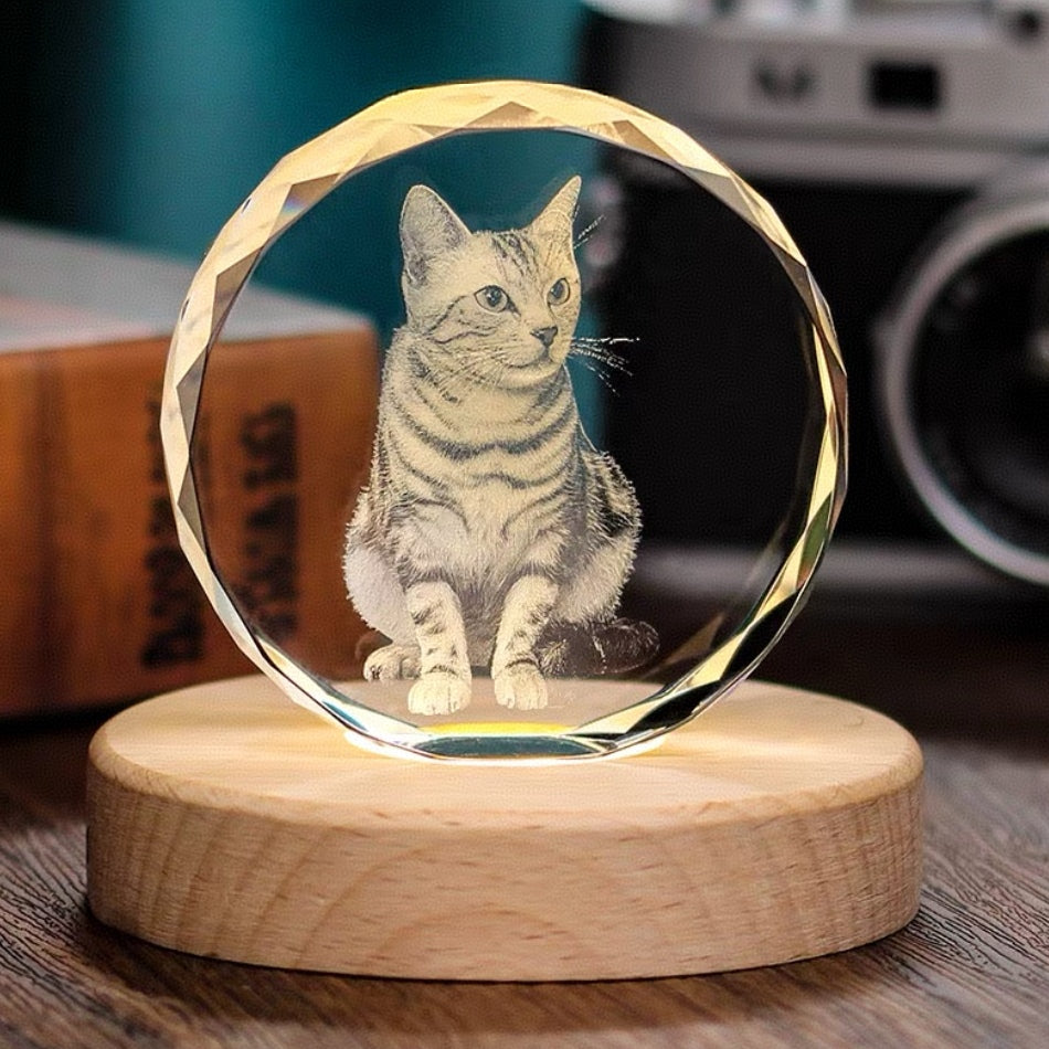 Custom Pet Crystal Ball – Personalized 3D Engraved Keepsake