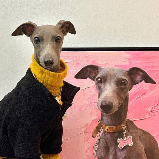 Custom Pet Oil Painting - Custom Hand-Painted Pet Paintings