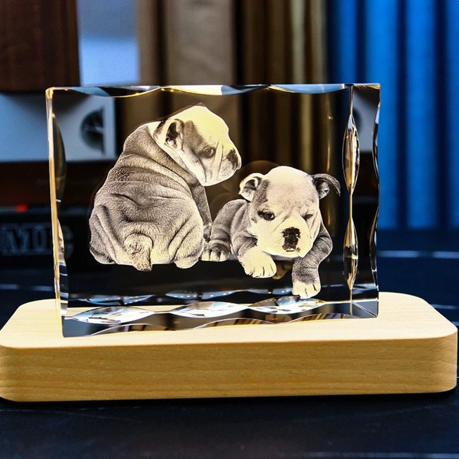 Custom Pet Crystal Ball – Personalized 3D Engraved Keepsake